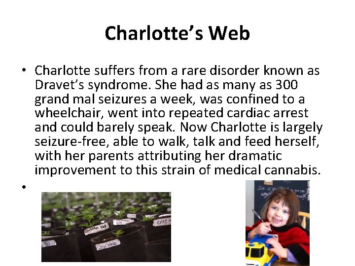 Charlotte’s Web • Charlotte suffers from a rare disorder known as Dravet’s syndrome. She Charlotte’s Web • Charlotte suffers from a rare disorder known as Dravet’s syndrome. She