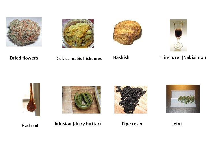 Dried flowers Kief: cannabis trichomes Hash oil Infusion (dairy butter) Hashish Pipe resin Tincture: Dried flowers Kief: cannabis trichomes Hash oil Infusion (dairy butter) Hashish Pipe resin Tincture: