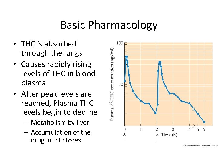 Basic Pharmacology • THC is absorbed through the lungs • Causes rapidly rising levels Basic Pharmacology • THC is absorbed through the lungs • Causes rapidly rising levels