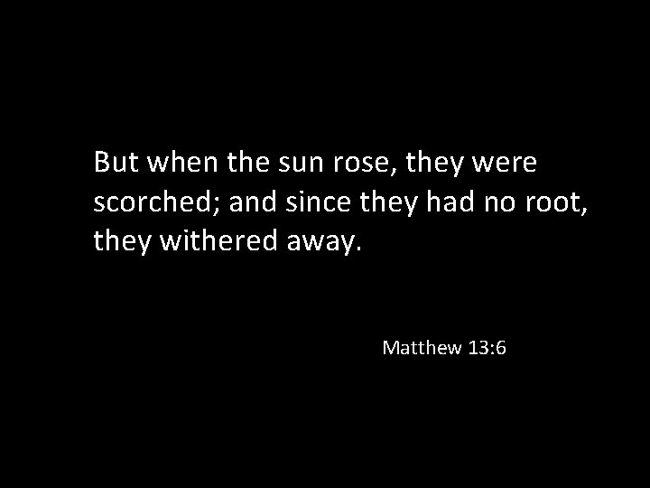 But when the sun rose, they were scorched; and since they had no root,