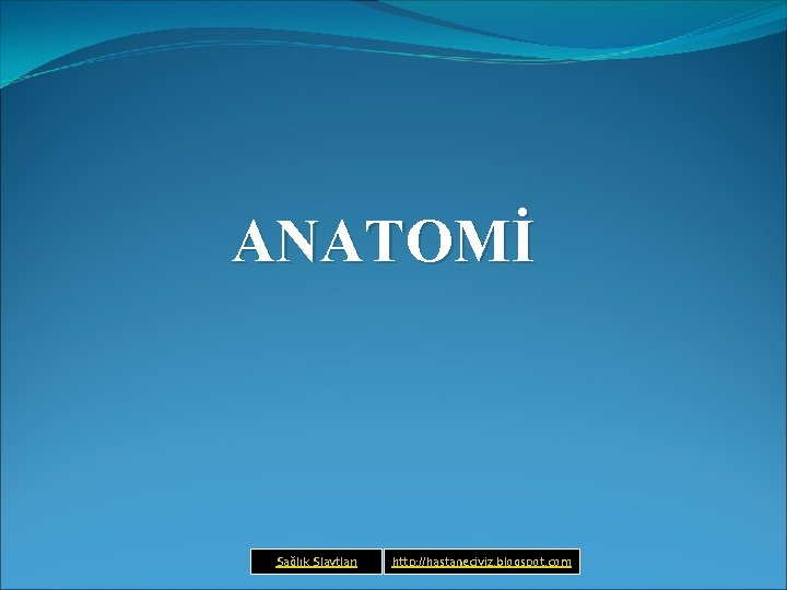 ANATOMİ Sağlık Slaytları http: //hastaneciyiz. blogspot. com 