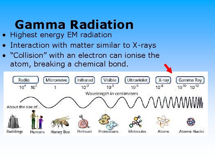 Gamma Radiation • Highest energy EM radiation • Interaction with matter similar to X-rays