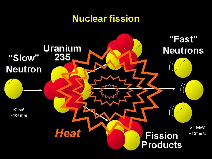 Nuclear fission Uranium 235 “Slow” Neutron “Fast” Neutrons <1 e. V ~103 m/s Heat