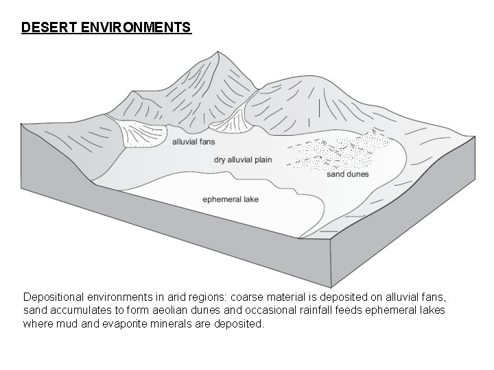 DESERT ENVIRONMENTS Depositional environments in arid regions: coarse material is deposited on alluvial fans,