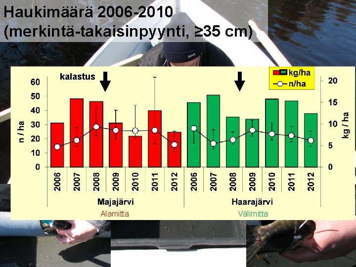 Haukimäärä 2006 -2010 (merkintä-takaisinpyynti, ≥ 35 cm) kalastus Alamitta Välimitta 