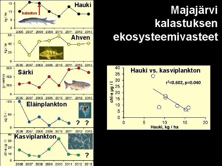 Hauki kalastus Ahven Särki Eläinplankton Kasviplankton Majajärvi kalastuksen ekosysteemivasteet Hauki vs. kasviplankton 