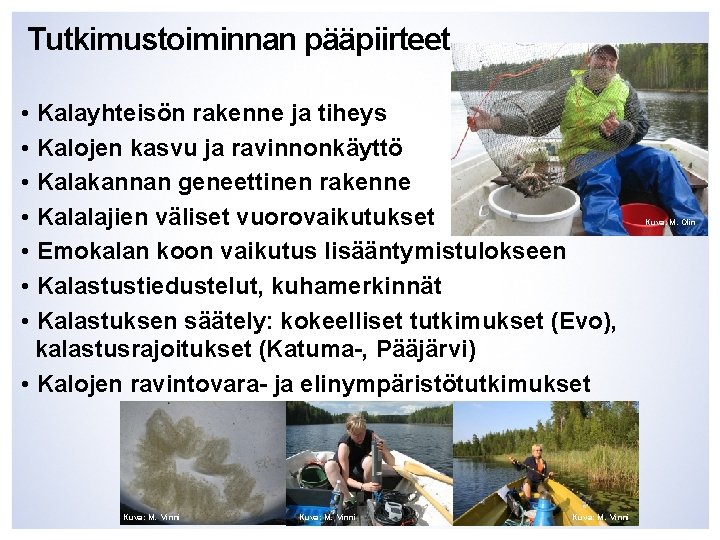 Tutkimustoiminnan pääpiirteet • Kalayhteisön rakenne ja tiheys • Kalojen kasvu ja ravinnonkäyttö • Kalakannan