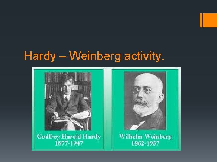 Hardy – Weinberg activity. 