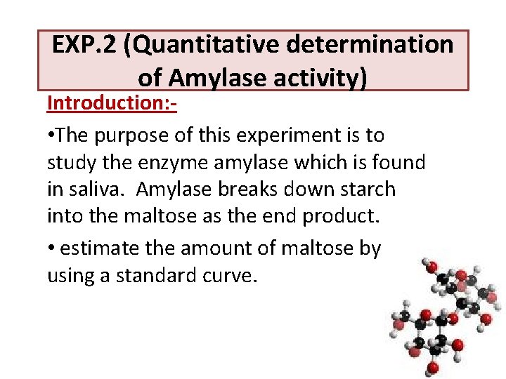 EXP. 2 (Quantitative determination of Amylase activity) Introduction: • The purpose of this experiment EXP. 2 (Quantitative determination of Amylase activity) Introduction: • The purpose of this experiment