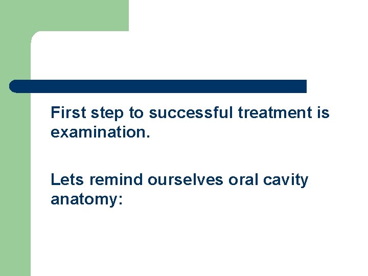 First step to successful treatment is examination. Lets remind ourselves oral cavity anatomy: First step to successful treatment is examination. Lets remind ourselves oral cavity anatomy: