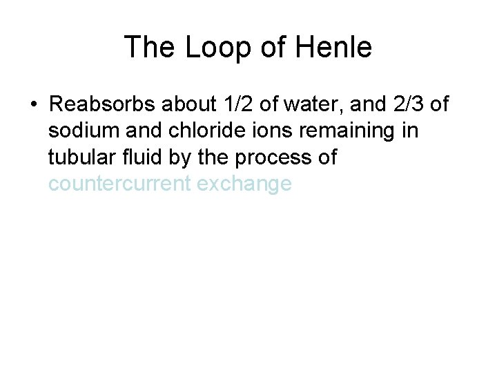 The Loop of Henle • Reabsorbs about 1/2 of water, and 2/3 of sodium