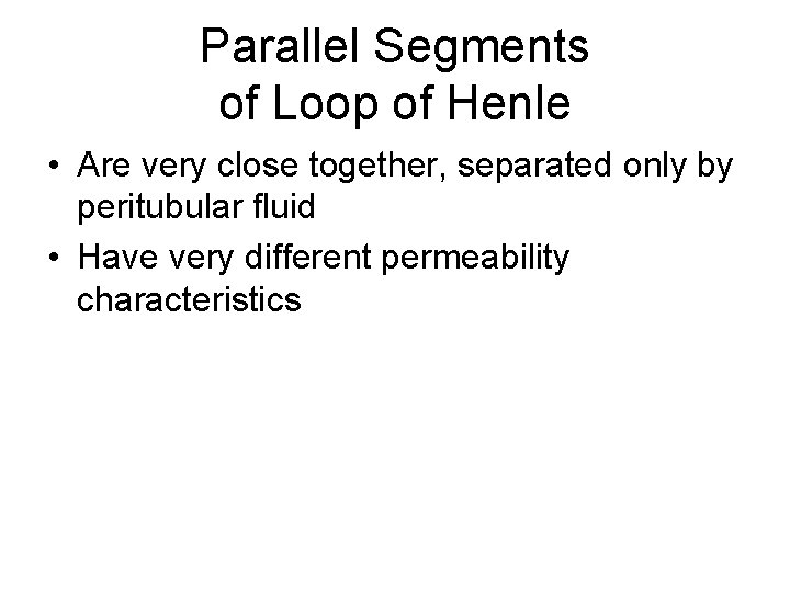 Parallel Segments of Loop of Henle • Are very close together, separated only by
