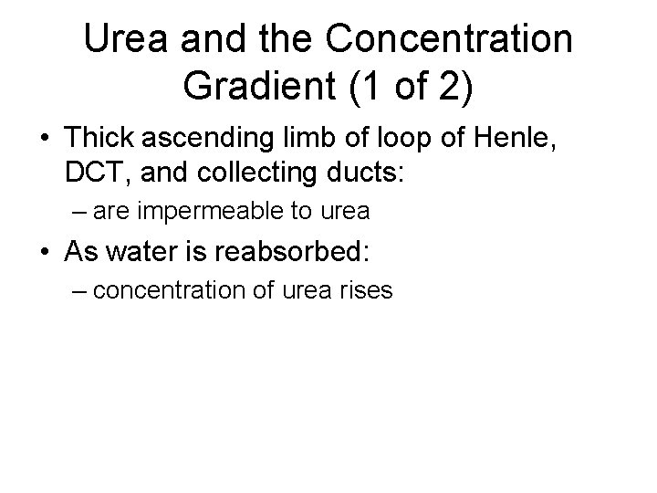 Urea and the Concentration Gradient (1 of 2) • Thick ascending limb of loop