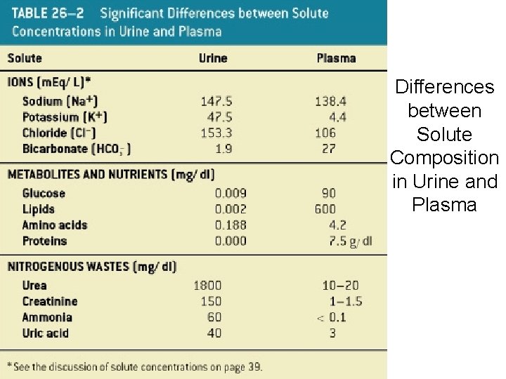 Differences between Solute Composition in Urine and Plasma Table 26– 2 