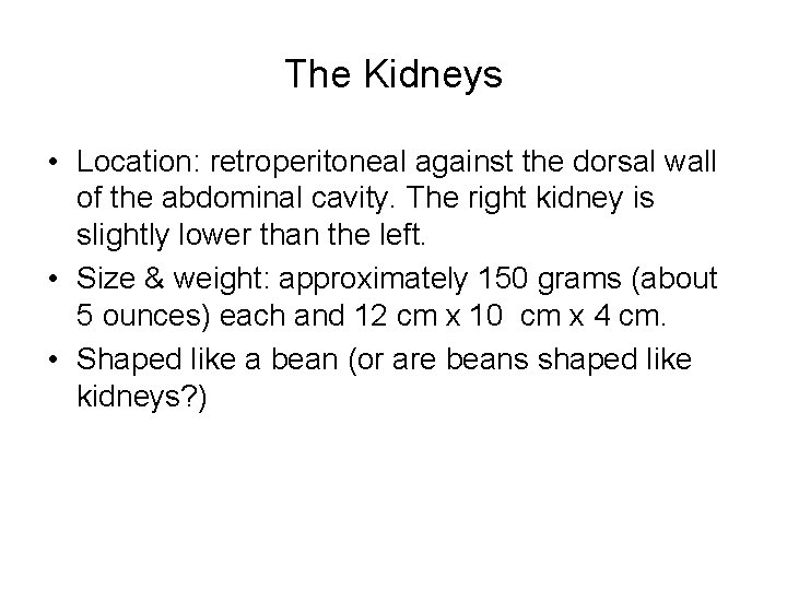 The Kidneys • Location: retroperitoneal against the dorsal wall of the abdominal cavity. The