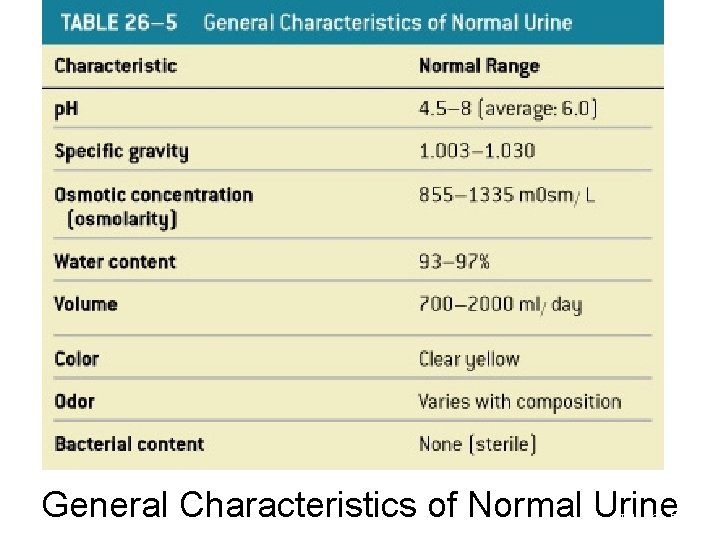 General Characteristics of Normal Urine Table 26– 5 