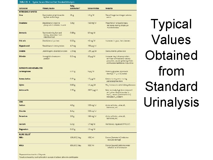 Typical Values Obtained from Standard Urinalysis Table 26– 6 