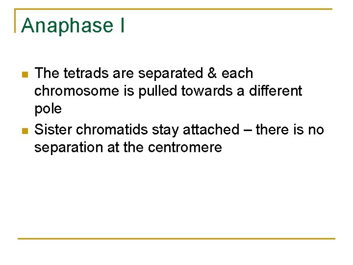 Anaphase I n n The tetrads are separated & each chromosome is pulled towards