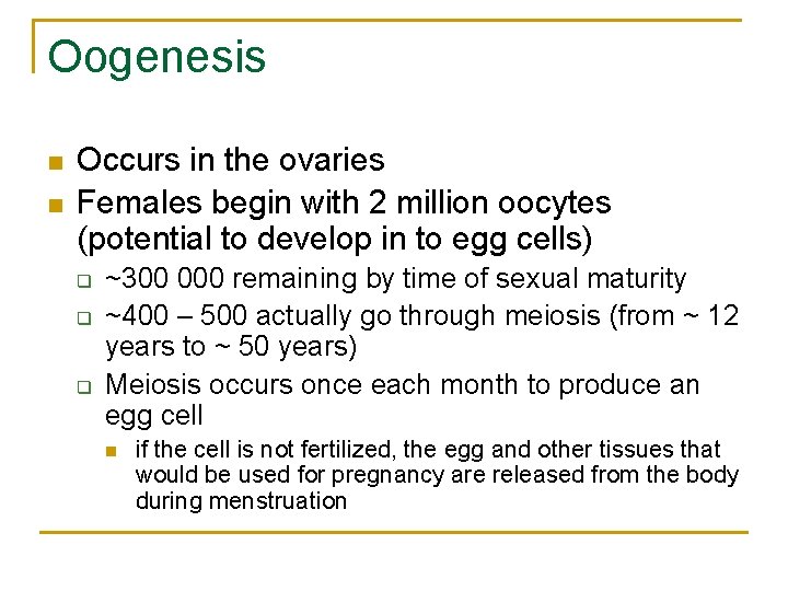 Oogenesis n n Occurs in the ovaries Females begin with 2 million oocytes (potential