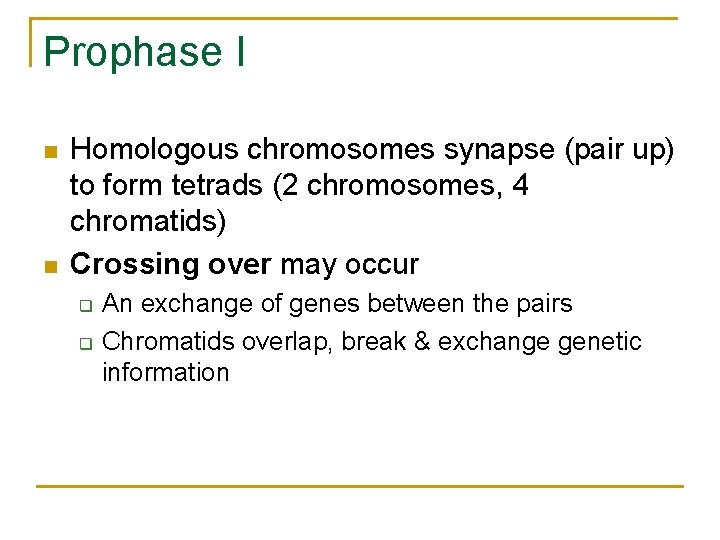 Prophase I n n Homologous chromosomes synapse (pair up) to form tetrads (2 chromosomes,