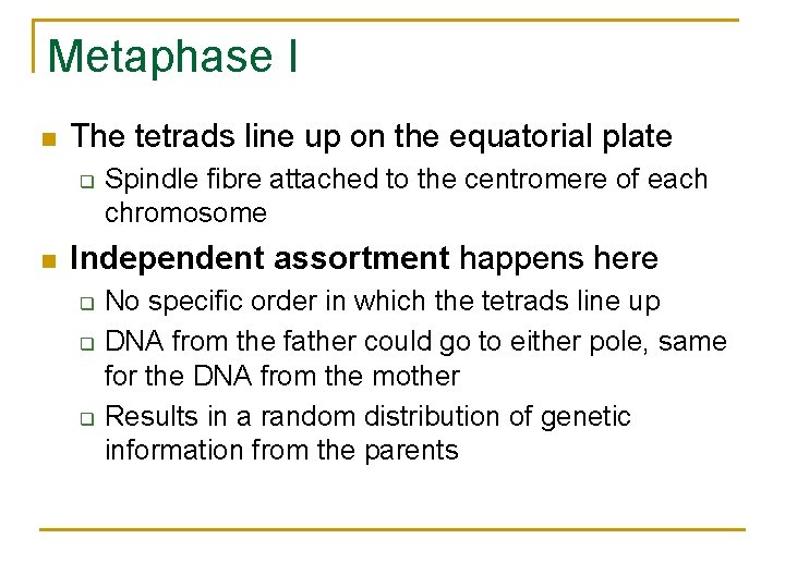 Metaphase I n The tetrads line up on the equatorial plate q n Spindle