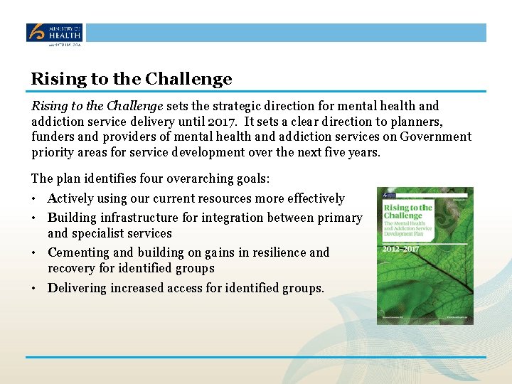 The Mental Health And Addiction Service Development Plan.