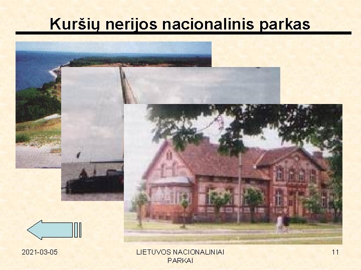 Kuršių nerijos nacionalinis parkas 2021 -03 -05 LIETUVOS NACIONALINIAI PARKAI 11 