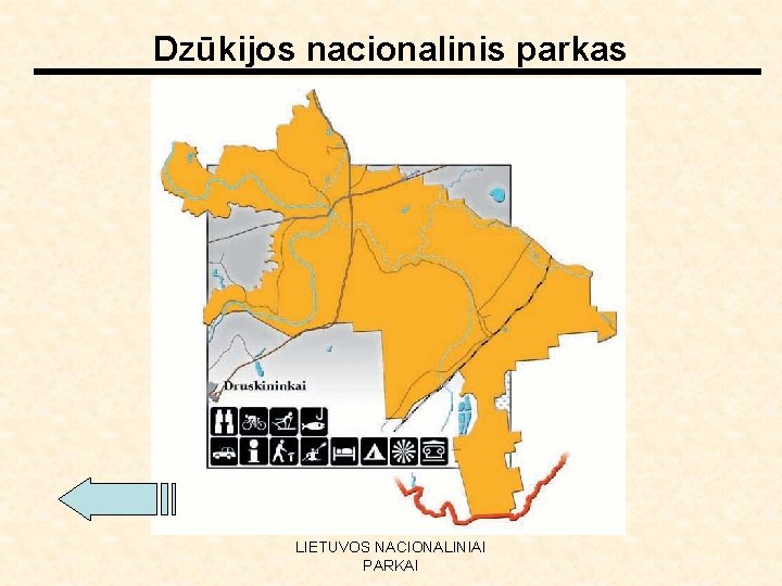 Dzūkijos nacionalinis parkas LIETUVOS NACIONALINIAI PARKAI 