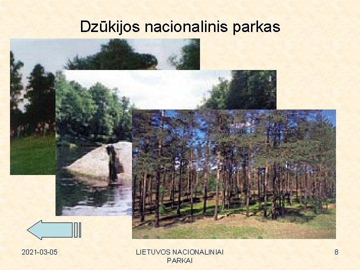 Dzūkijos nacionalinis parkas 2021 -03 -05 LIETUVOS NACIONALINIAI PARKAI 8 