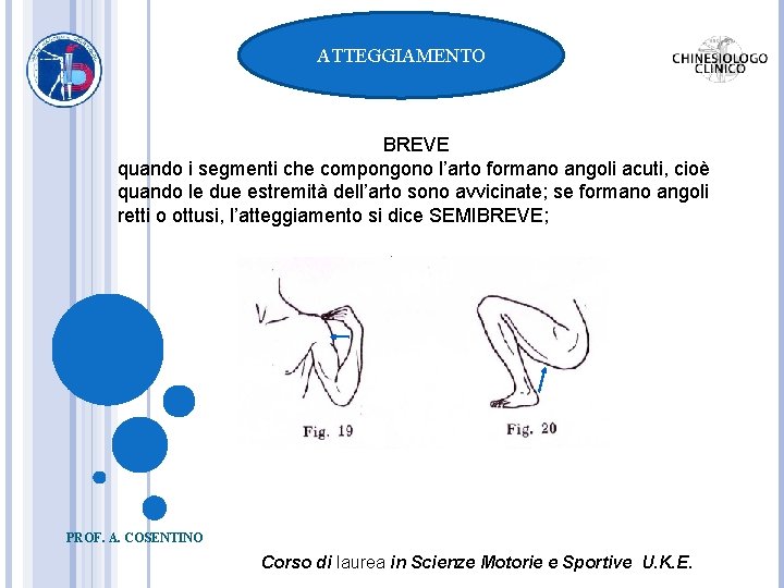 ATTEGGIAMENTO BREVE quando i segmenti che compongono l’arto formano angoli acuti, cioè quando le