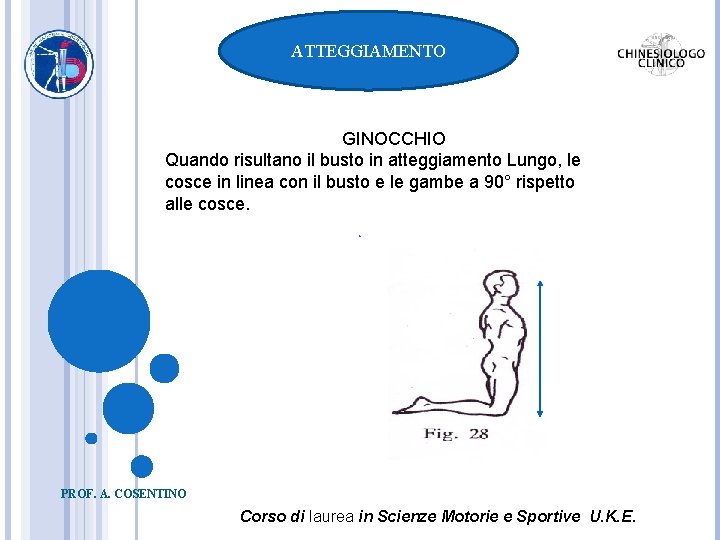 ATTEGGIAMENTO GINOCCHIO Quando risultano il busto in atteggiamento Lungo, le cosce in linea con