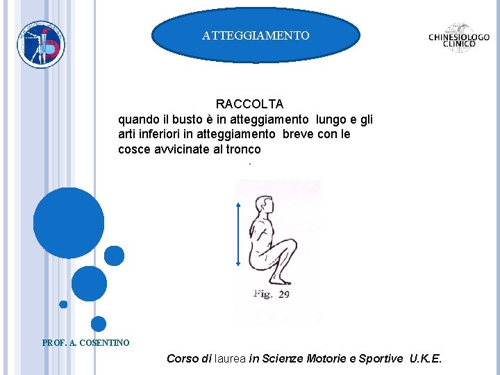 ATTEGGIAMENTO RACCOLTA quando il busto è in atteggiamento lungo e gli arti inferiori in