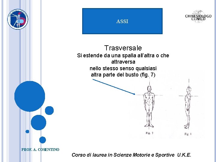 ASSI Trasversale Si estende da una spalla all’altra o che attraversa nello stesso senso
