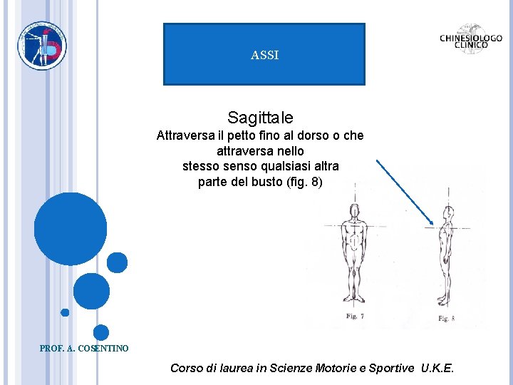 ASSI Sagittale Attraversa il petto fino al dorso o che attraversa nello stesso senso