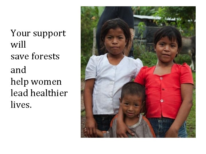 Your support will save forests and help women lead healthier lives. 