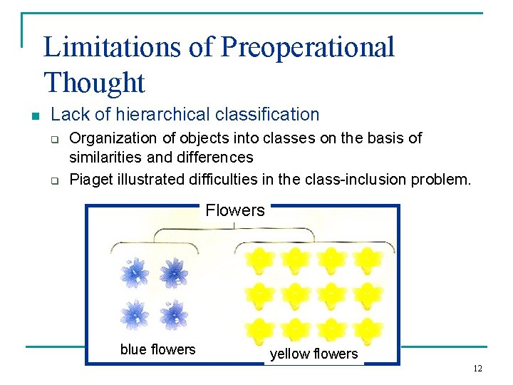 Limitations of Preoperational Thought n Lack of hierarchical classification q q Organization of objects Limitations of Preoperational Thought n Lack of hierarchical classification q q Organization of objects
