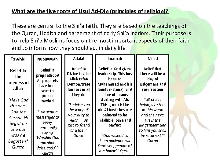 What are the five roots of Usul Ad-Din (principles of religion)? These are central