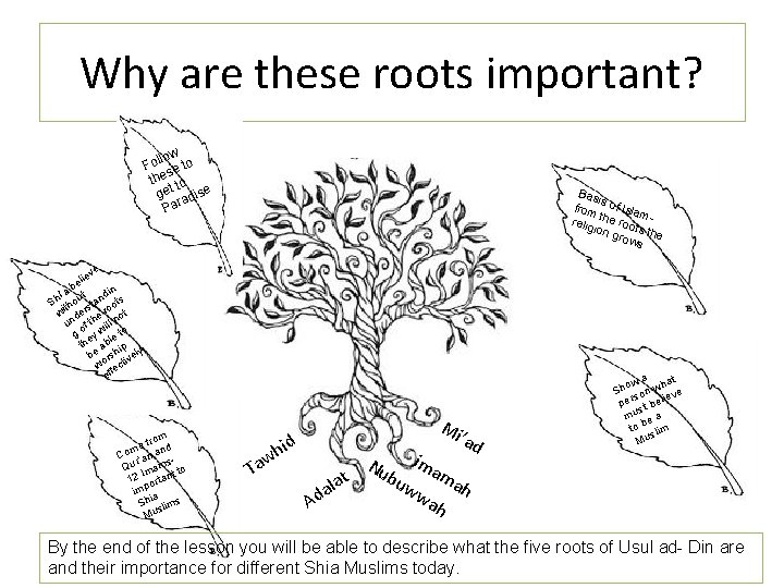 Why are these roots important? low o l o t F se the to