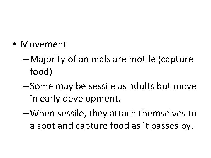  • Movement – Majority of animals are motile (capture food) – Some may