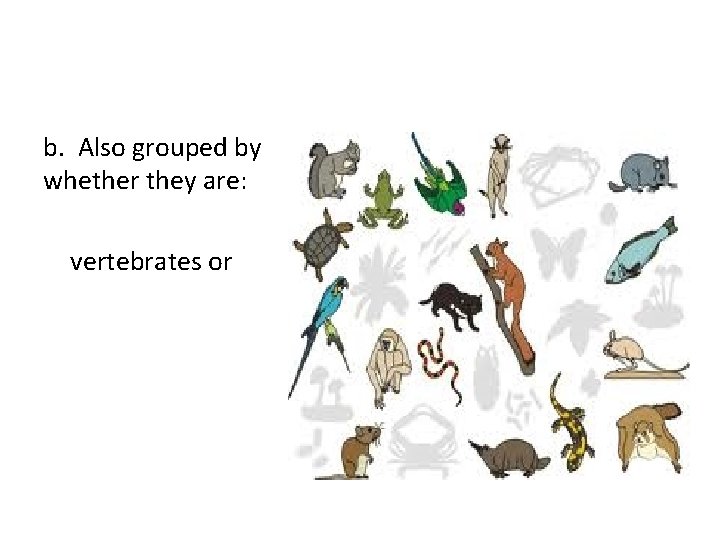 b. Also grouped by whether they are: vertebrates or 