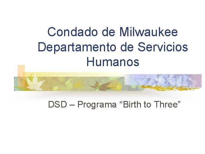 Condado de Milwaukee Departamento de Servicios Humanos DSD – Programa “Birth to Three” 