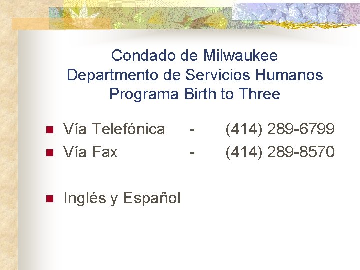Condado de Milwaukee Departmento de Servicios Humanos Programa Birth to Three n Vía Telefónica