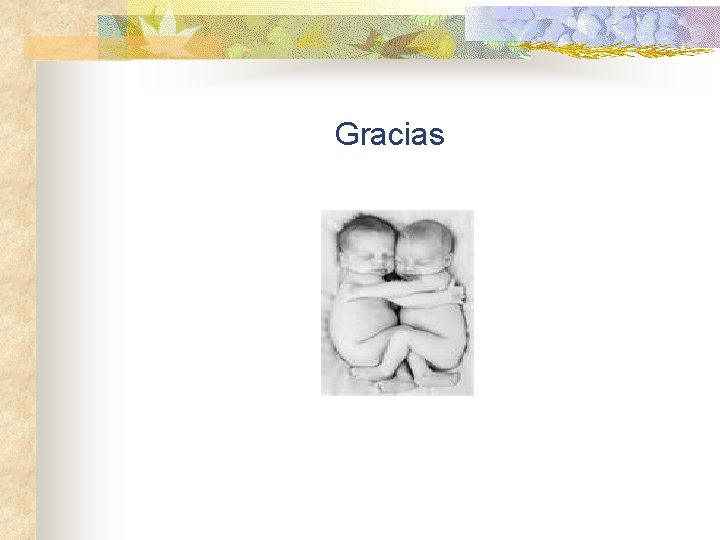 Gracias 