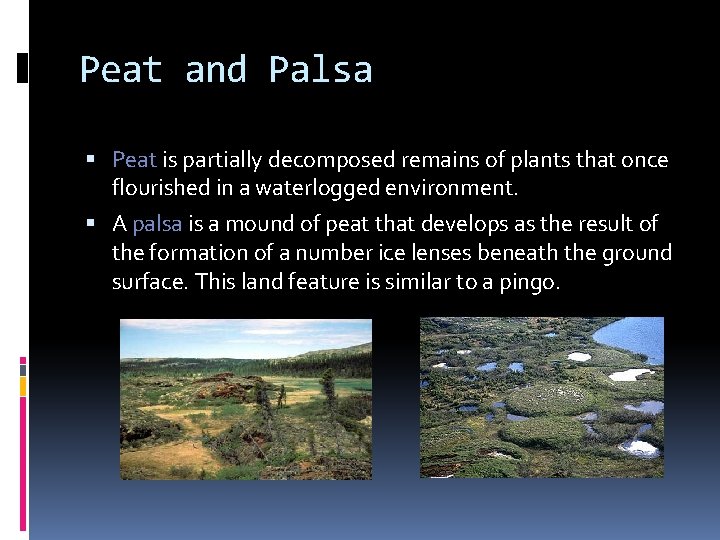 Peat and Palsa Peat is partially decomposed remains of plants that once flourished in Peat and Palsa Peat is partially decomposed remains of plants that once flourished in