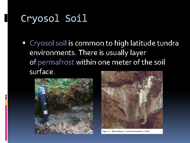 Cryosol Soil Cryosol soil is common to high latitude tundra environments. There is usually Cryosol Soil Cryosol soil is common to high latitude tundra environments. There is usually