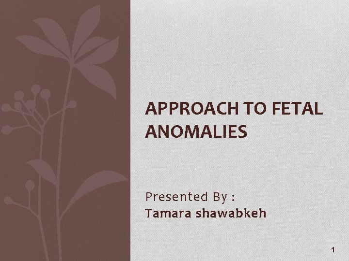 APPROACH TO FETAL ANOMALIES Presented By : Tamara shawabkeh 1 