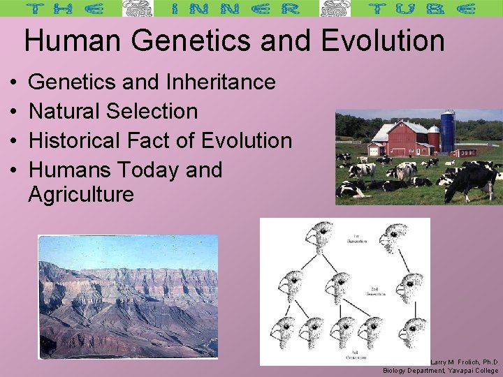 Human Genetics and Evolution • • Genetics and Inheritance Natural Selection Historical Fact of