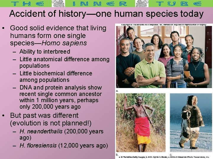 Accident of history—one human species today • Good solid evidence that living humans form