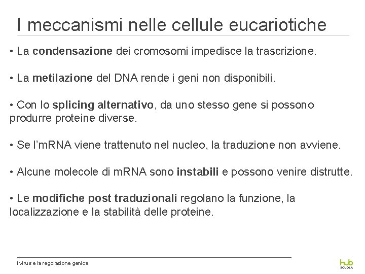 I meccanismi nelle cellule eucariotiche • La condensazione dei cromosomi impedisce la trascrizione. •