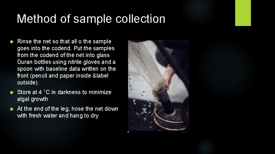 Method of sample collection Rinse the net so that all o the sample goes